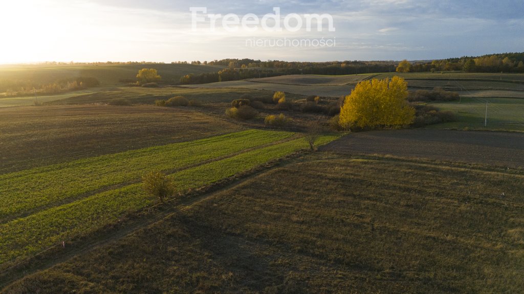 Działka budowlana na sprzedaż Przerwanki  1 010m2 Foto 12