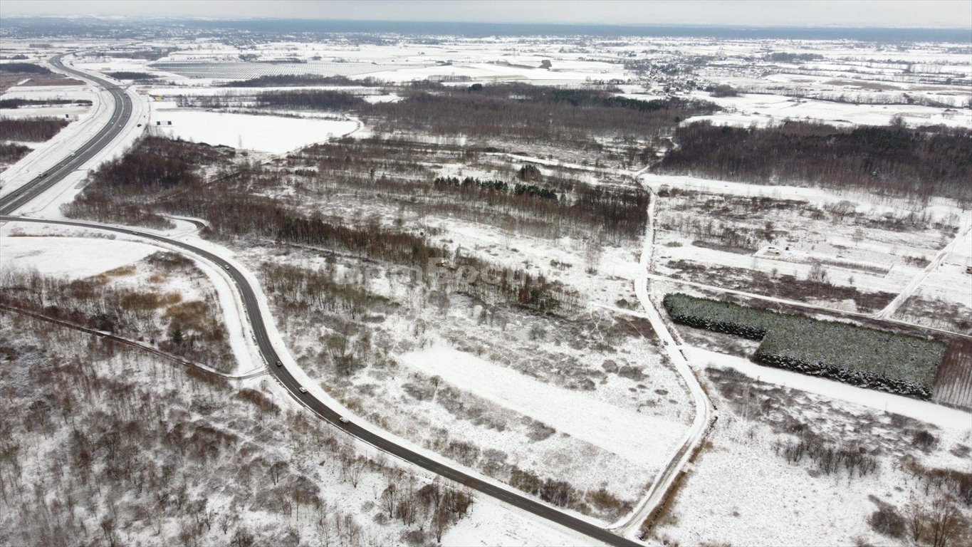 Działka przemysłowo-handlowa na sprzedaż Borek  3 988m2 Foto 14