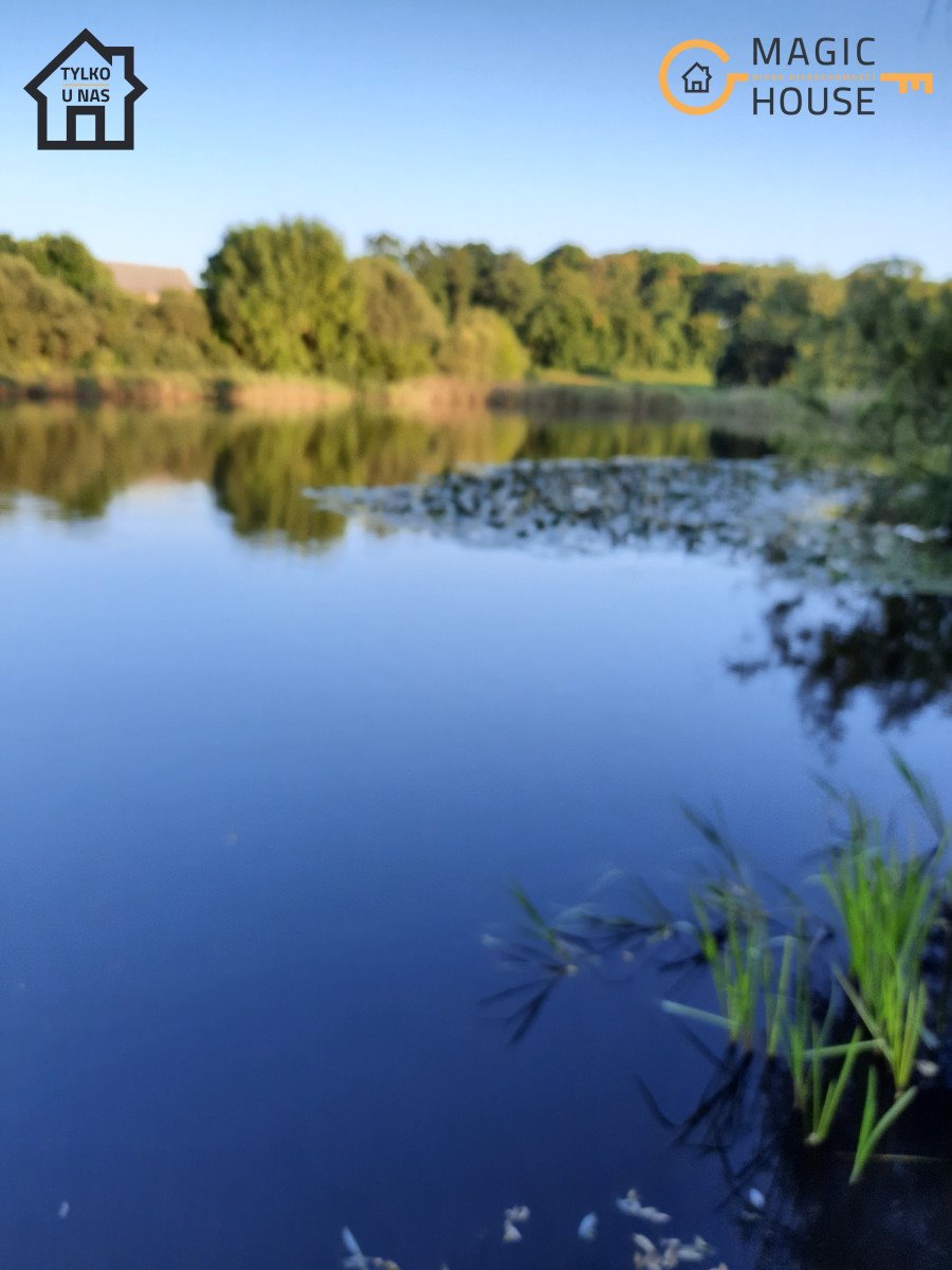 Działka leśna na sprzedaż Lisewo  10 120m2 Foto 4