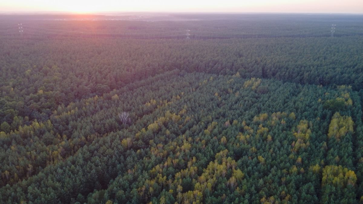 Działka budowlana na sprzedaż Trzcianka  25 988m2 Foto 1