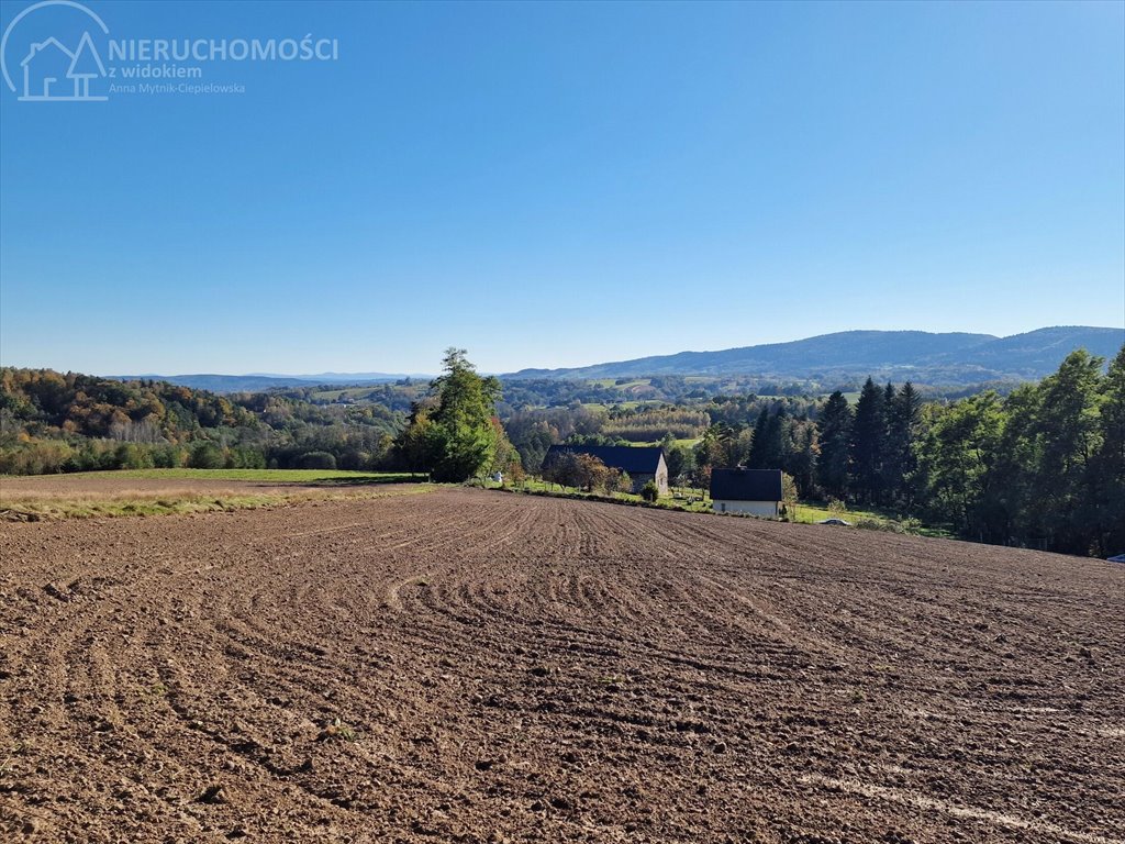 Działka budowlana na sprzedaż Błażkowa  2 200m2 Foto 2