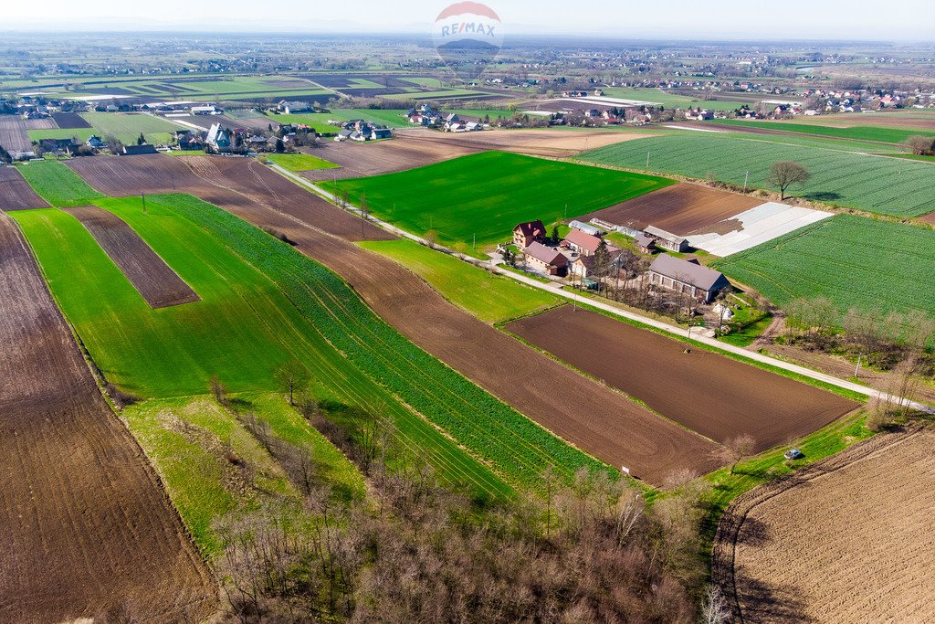 Działka rolna na sprzedaż Sierosławice  3 300m2 Foto 7