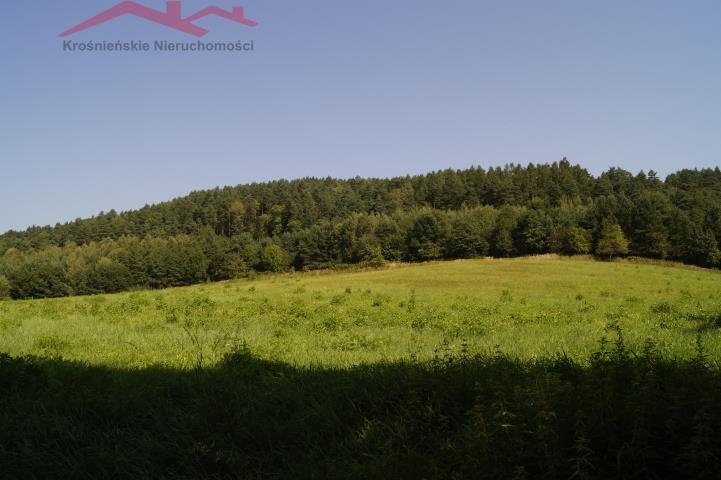 Działka rolna na sprzedaż Łęki Strzyżowskie  8 400m2 Foto 1