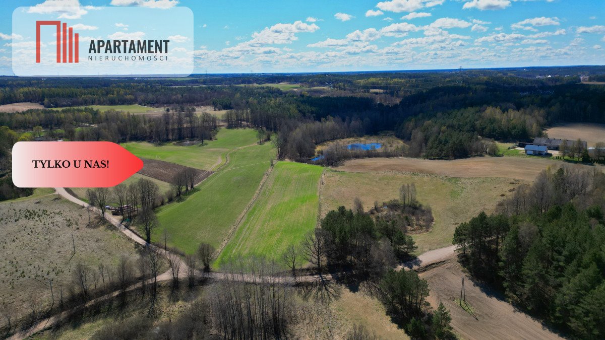 Działka siedliskowa 20 000 m² z lasem i blisko jeziora Skorzewo  20 000m2 Foto 1