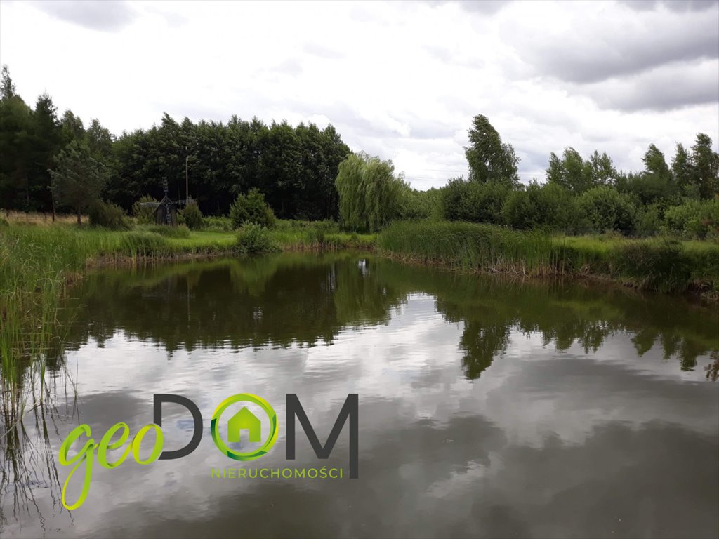 Działka 1 ha z lasem i stawem - idealna pod budowę. Pawłów, Szkolna  10 031m2 Foto 1