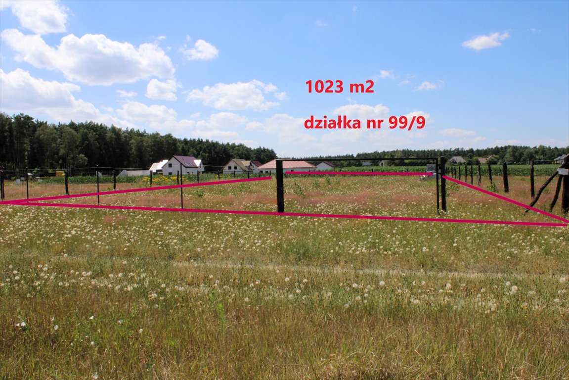 Działka rolna na sprzedaż Bartodzieje  1 023m2 Foto 2