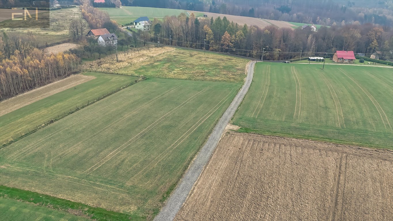 Działka budowlana na sprzedaż Tropie  1 391m2 Foto 7