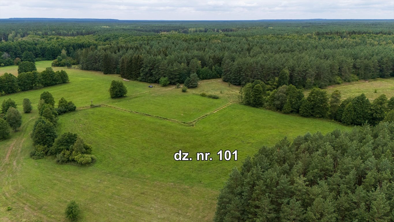 Działka rolna na sprzedaż Rekownica  25 000m2 Foto 4