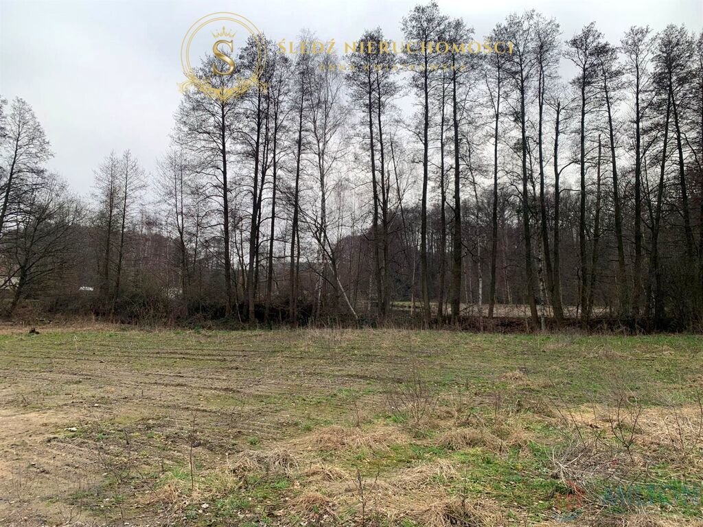 Działka pod lasem 8122 m², spokój i przyroda blisko Wołowa Straszowice  5 796m2 Foto 1
