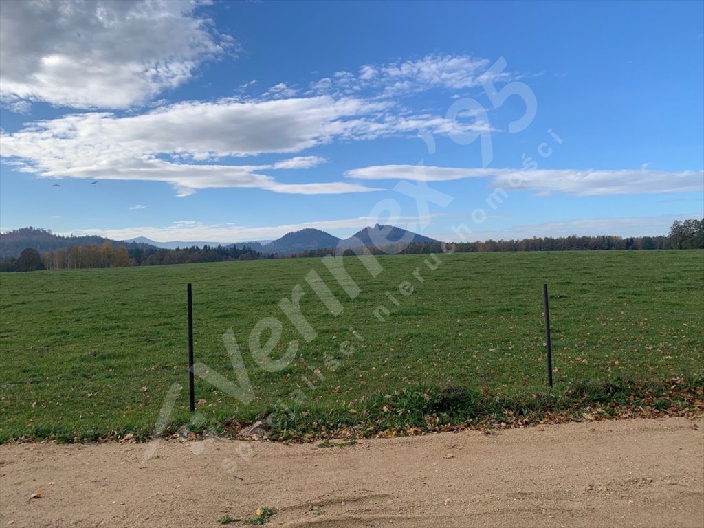 Działka 1877 m² z widokami - las i góry w Janowicach Jelenia Góra  1 877m2 Foto 1
