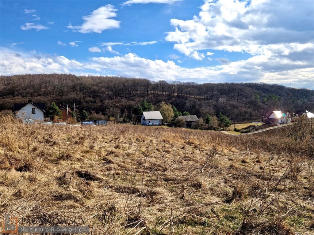 Działka budowlana na sprzedaż Owczary  3 000m2 Foto 1