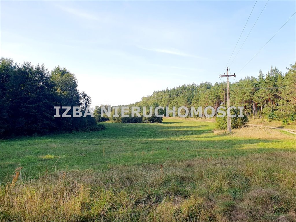 Działka rolna na sprzedaż Grabnik  3 030m2 Foto 14