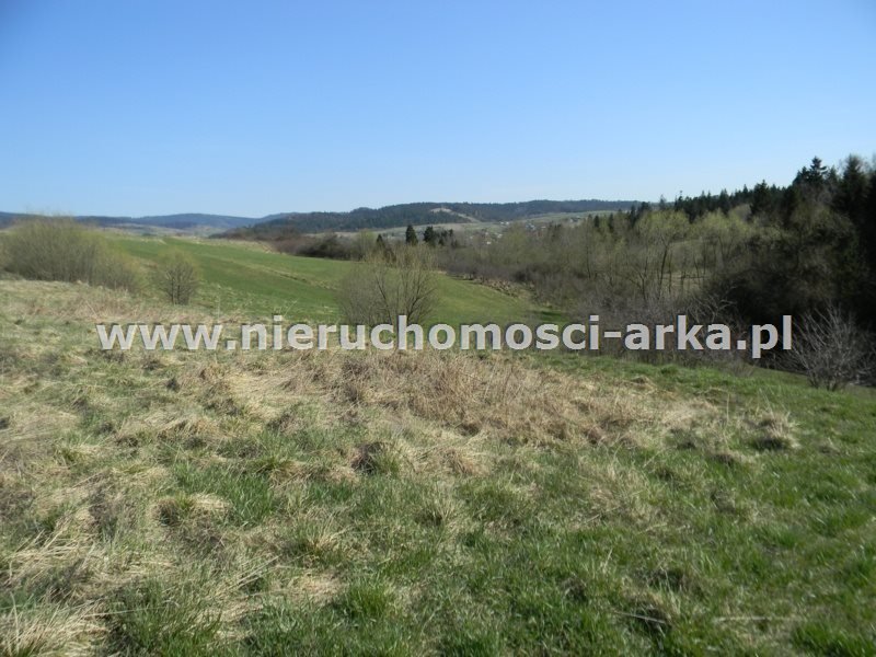 Działka rolna na sprzedaż Rabka-Zdrój 2 383m2 Foto 1 Działka rolna na sprzedaż Rabka-Zdrój 2 383m2 Foto 1