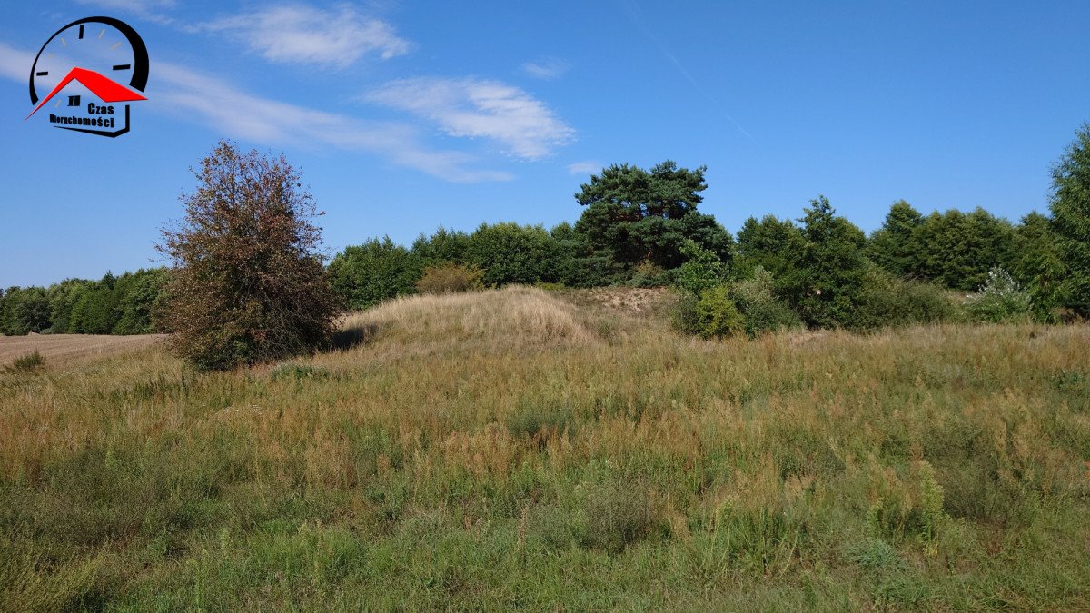 Działka gospodarstwo rolne na sprzedaż Góraj  4 760m2 Foto 2