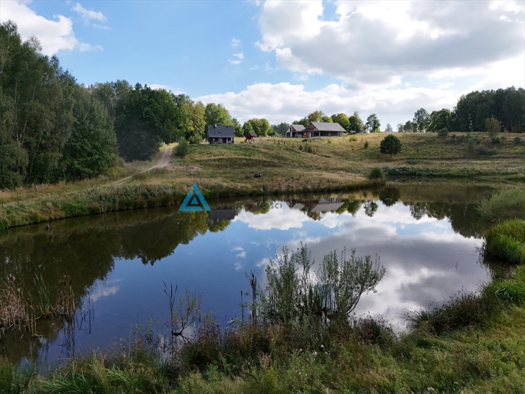 Działka siedliskowa na sprzedaż Mierzeszyn  12 301m2 Foto 7