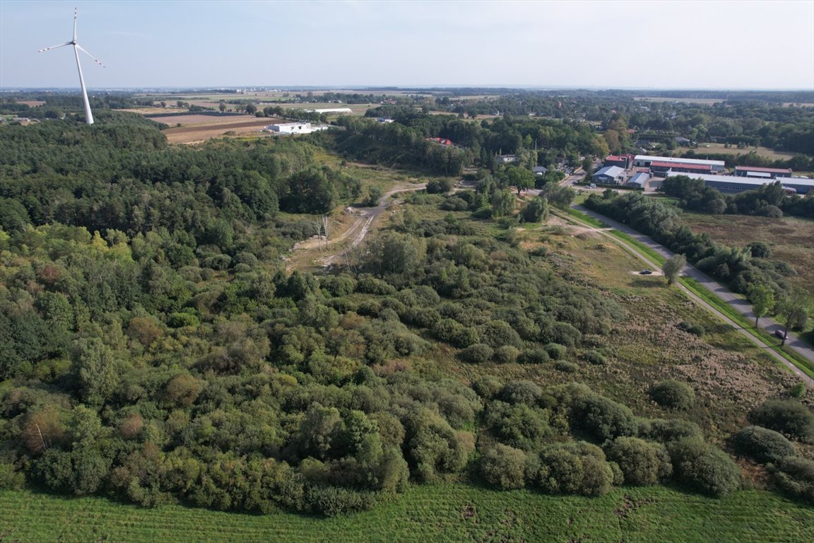 Działka rolna na sprzedaż Bruskowo Wielkie  5 000m2 Foto 5