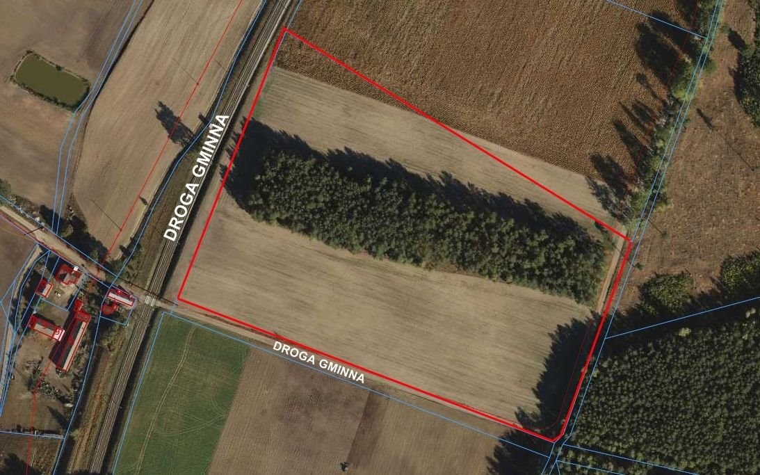 Działka 56 980 m² z lasem i możliwością uprawy Gajewo  56 980m2 Foto 1