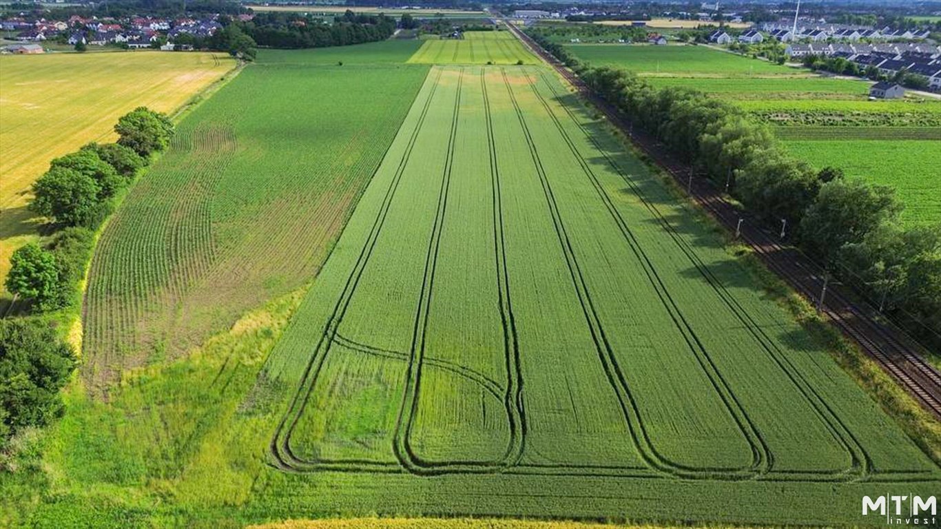 Działka rolna na sprzedaż Iwiny  9 878m2 Foto 1