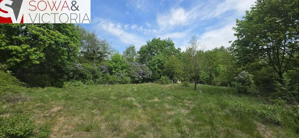 Zapraszam do zakupu działek 5081 m² w Jaskulinie, z dostępem do dróg Jaskulin  5 081m2 Foto 1