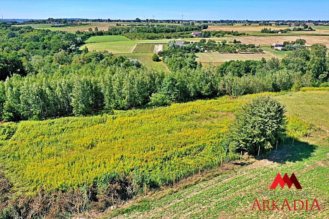 Działka budowlana na sprzedaż Dobrzyń nad Wisłą, Bachorzewo  3 099m2 Foto 7