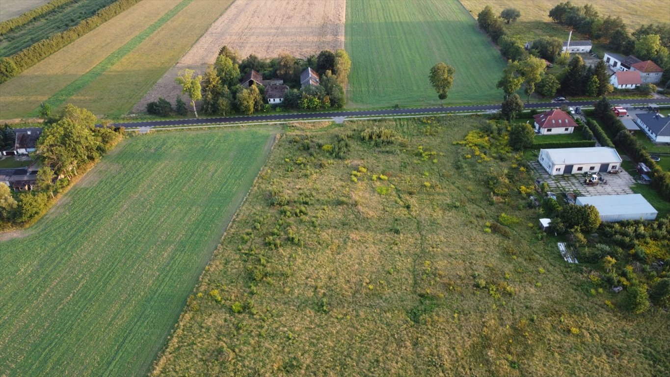 Działka budowlana na sprzedaż Głobino, Pogodna  13 800m2 Foto 6