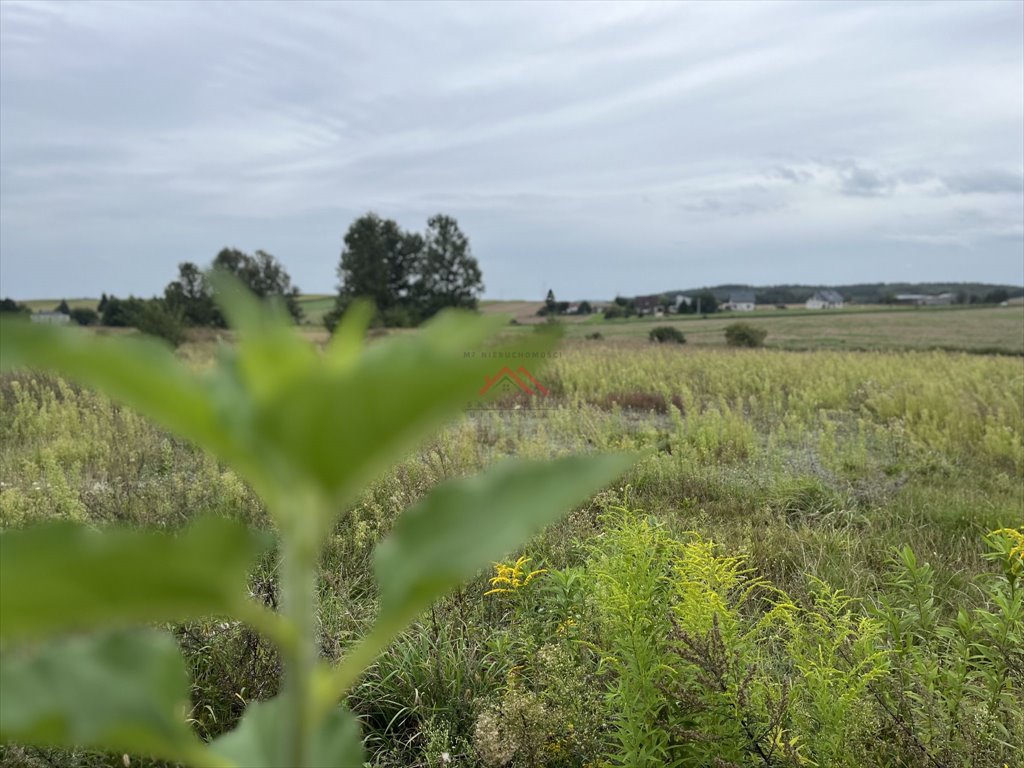 Działka budowlana na sprzedaż Bratian, Długa  1 040m2 Foto 3