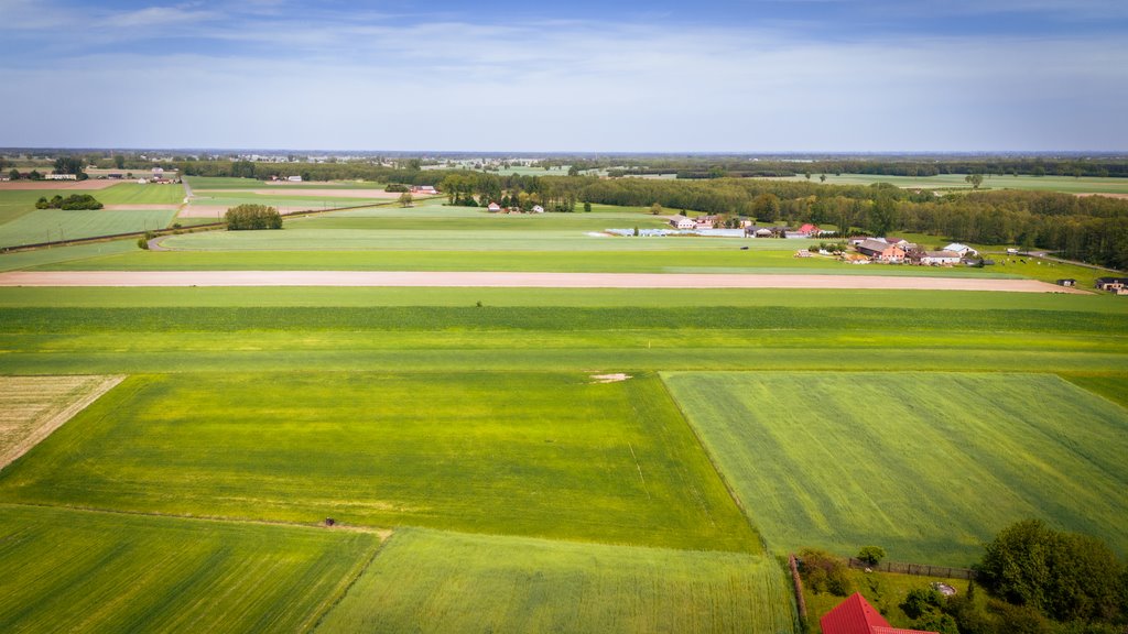 Działka budowlana na sprzedaż Poddębice  1 500m2 Foto 3