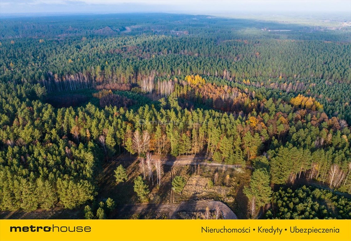 Działka rolna na sprzedaż Trzebciny  1 343m2 Foto 3