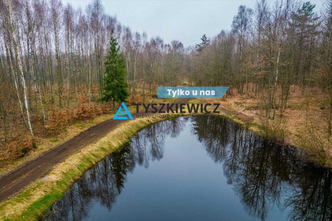 Działka rolna na sprzedaż Kołtki  5 978m2 Foto 1