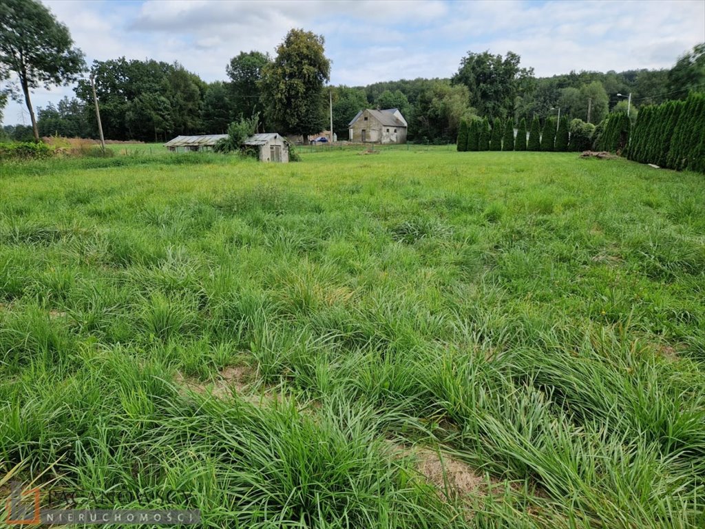 Działka budowlana na sprzedaż Marszowice  1 290m2 Foto 2