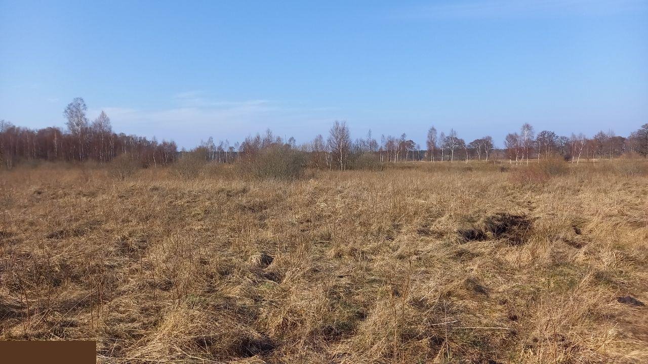 Działka rolna na sprzedaż Choczewo  600m2 Foto 16