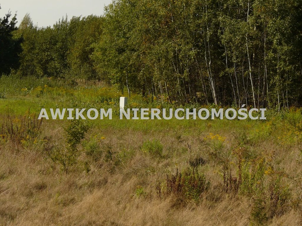 Działka budowlana na sprzedaż Skierniewice  2 040m2 Foto 13