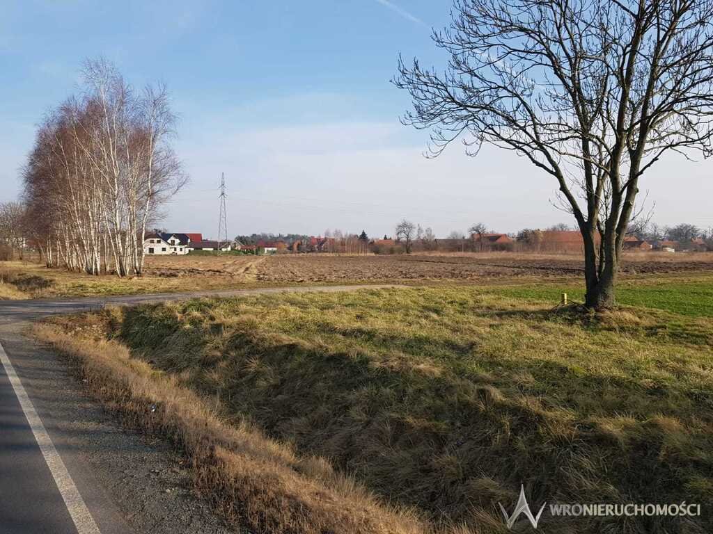 Działka budowlana na sprzedaż Krościna Mała  7 625m2 Foto 1
