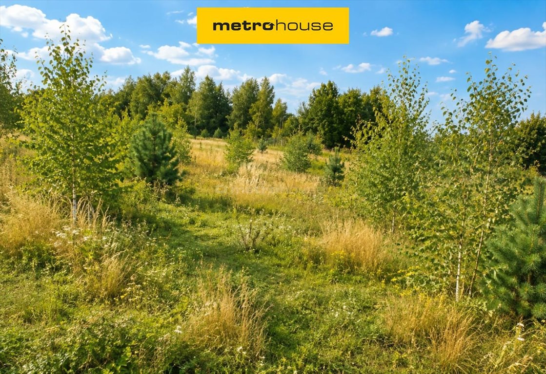 Działka budowlana 954 m² w Feliksowie – cicha okolica: Feliksów