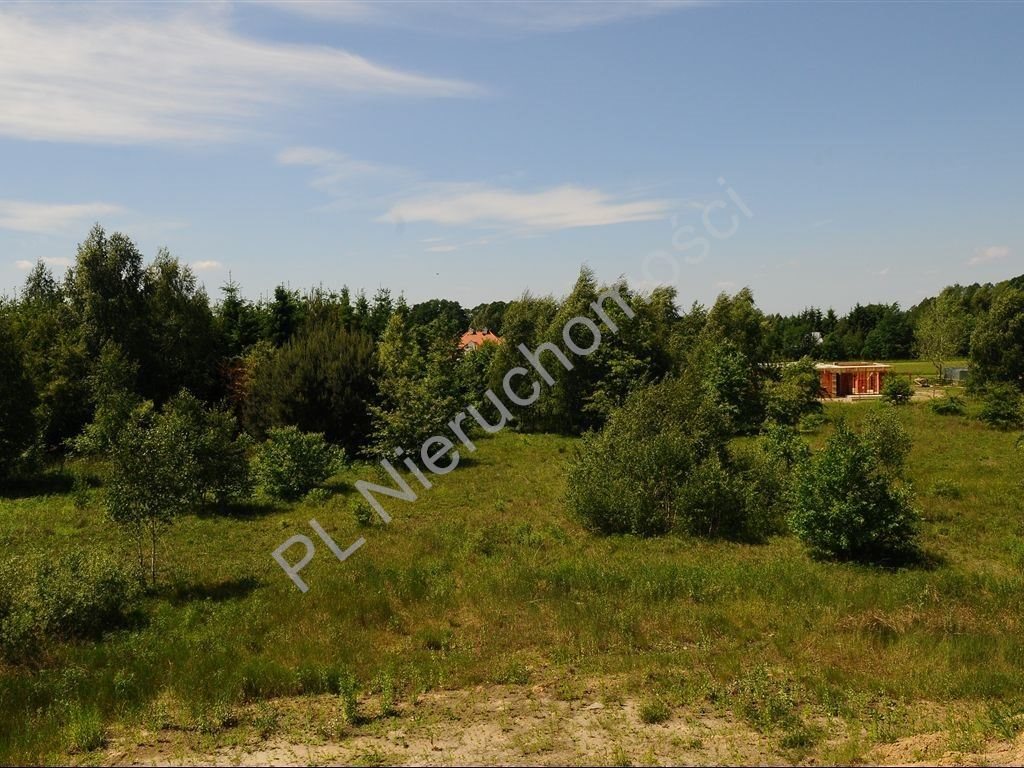 Sprzedam działkę 10 900 m² z warunkami zabudowy i ochroną krajobrazu Kanie  10 900m2 Foto 1