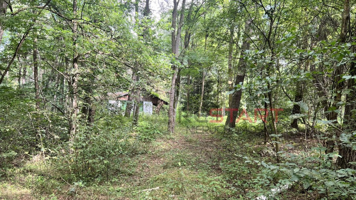 Działka 5211 m² z domem letniskowym w lesie, media, dostęp Grabce Józefpolskie  5 211m2 Foto 1