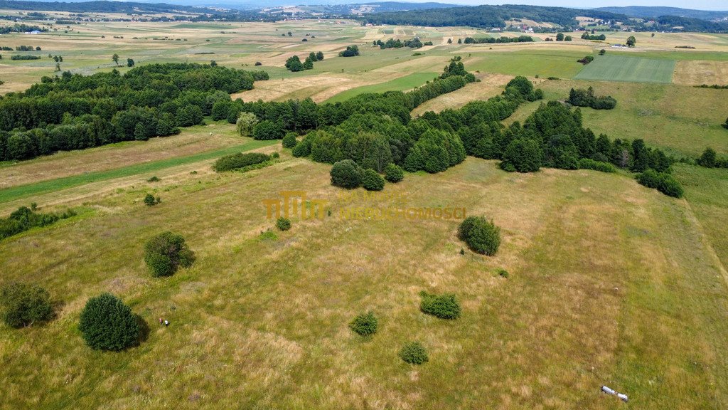 Działka rolna na sprzedaż Łężyny  1 500m2 Foto 3