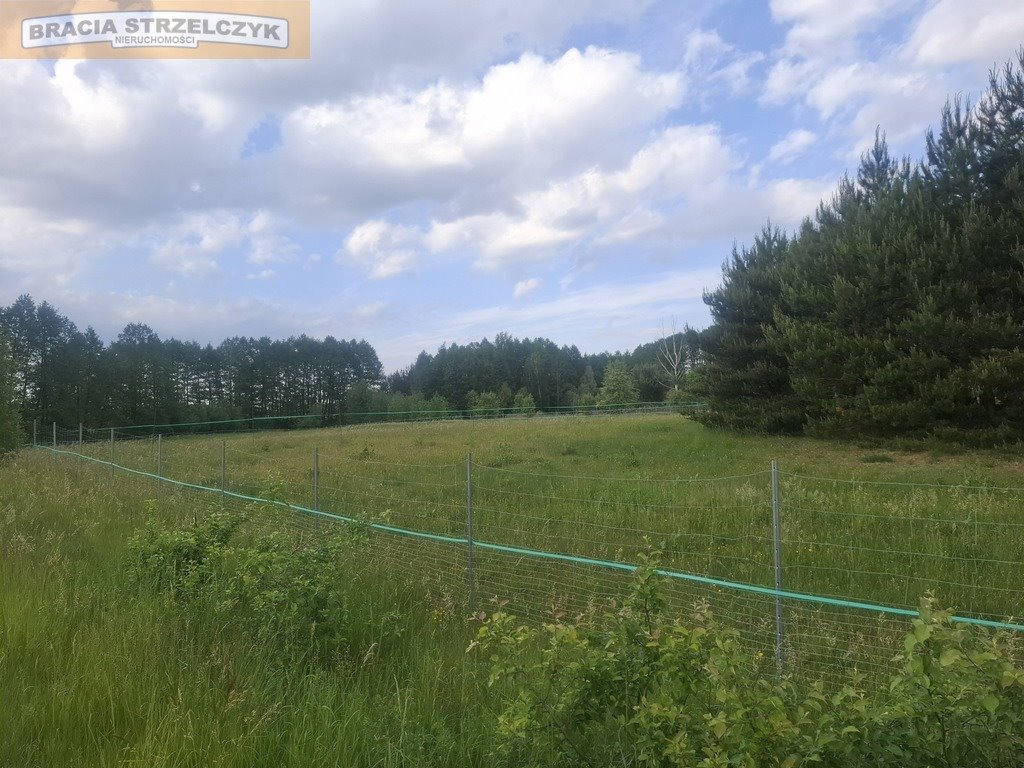 Działka 2202 m² pod dom i inwestycję w Nowym Brańszczyku Nowy Brańszczyk  2 202m2 Foto 1