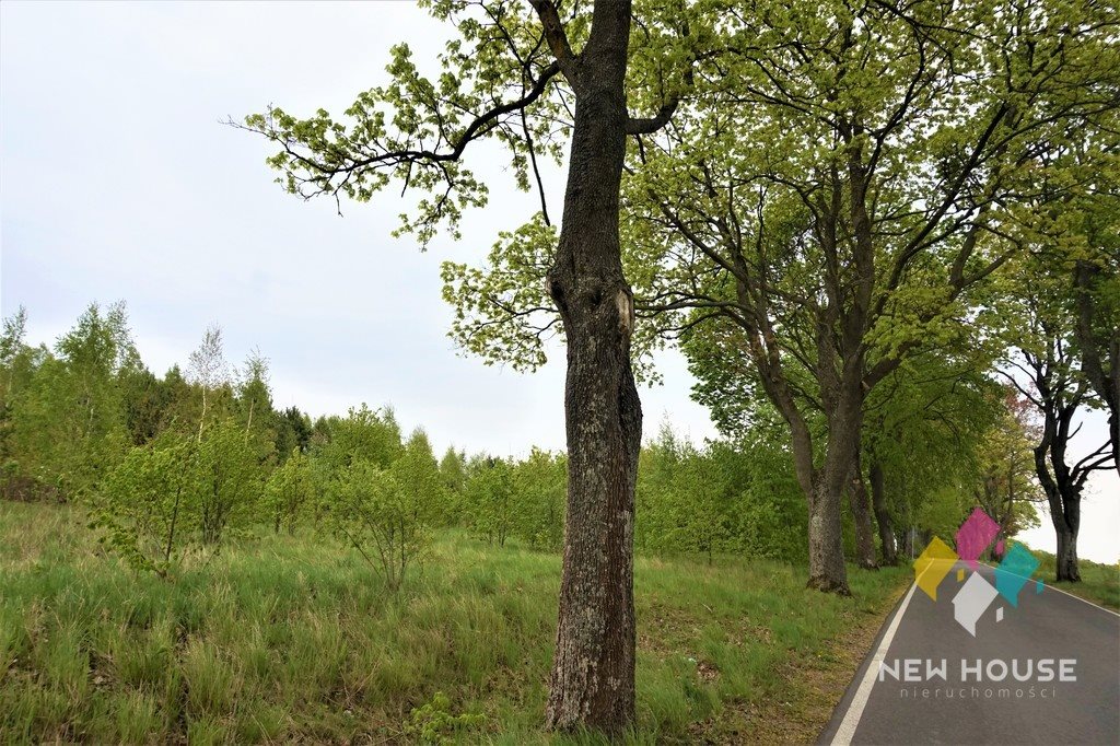 Działka rolna na sprzedaż Jemiołowo 8 377m2 Foto 1 Działka rolna na sprzedaż Jemiołowo 8 377m2 Foto 1