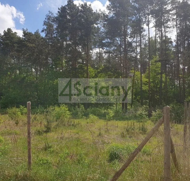 Działka leśna z prawem budowy na sprzedaż Strzeniówka  2 000m2 Foto 1