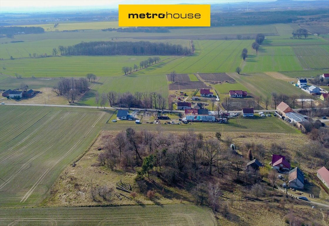 Działka rolna na sprzedaż Witków  13 514m2 Foto 1