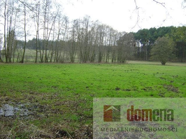 Działka siedliskowa na sprzedaż Dormowo 9 300m2 Foto 1 Działka siedliskowa na sprzedaż Dormowo 9 300m2 Foto 1