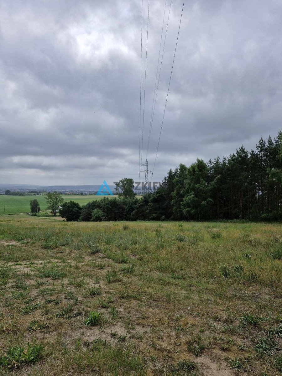 Działka budowlana na sprzedaż Nowa Wieś Lęborska, Wincentego Witosa  1 202m2 Foto 5