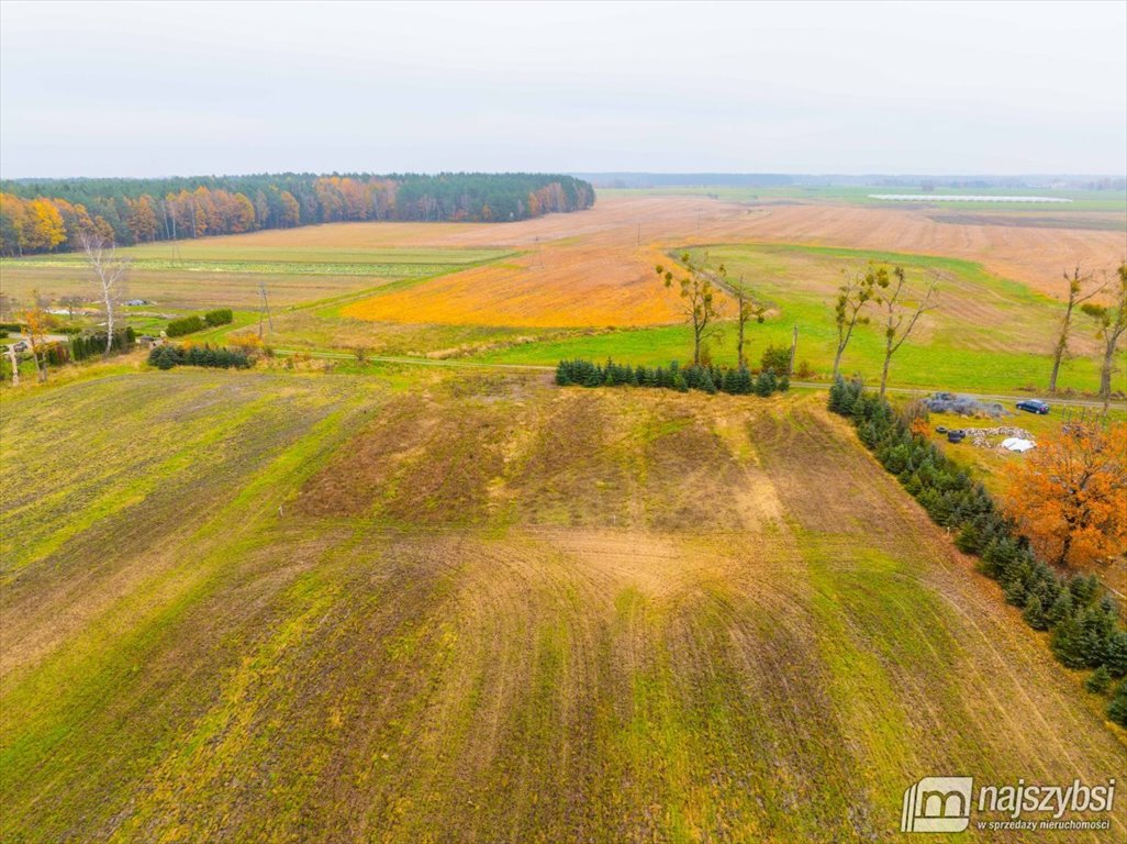 Działka budowlana na sprzedaż Węgorza, Wieś  1 557m2 Foto 10