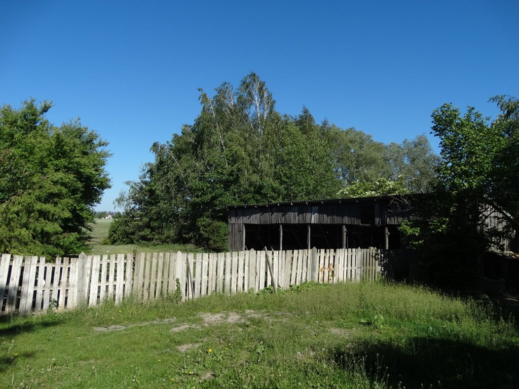 Działka rolna na sprzedaż Spądoszyn  3 000m2 Foto 6