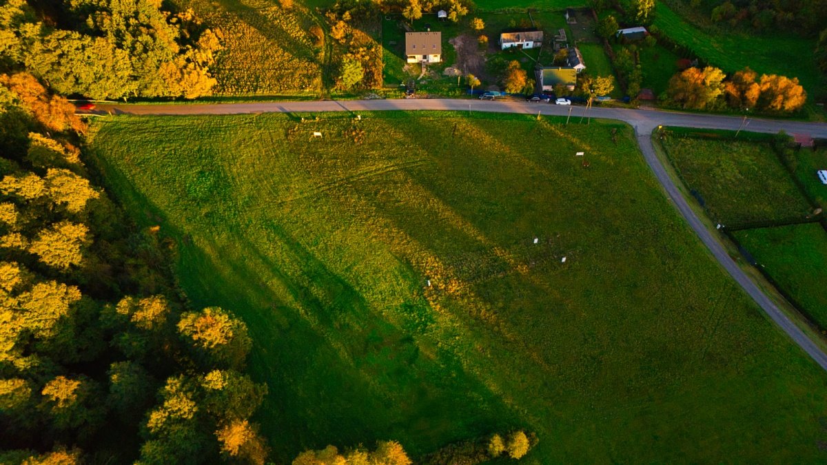 Działka budowlana na sprzedaż Kampinos, Partyzantów  1 687m2 Foto 7