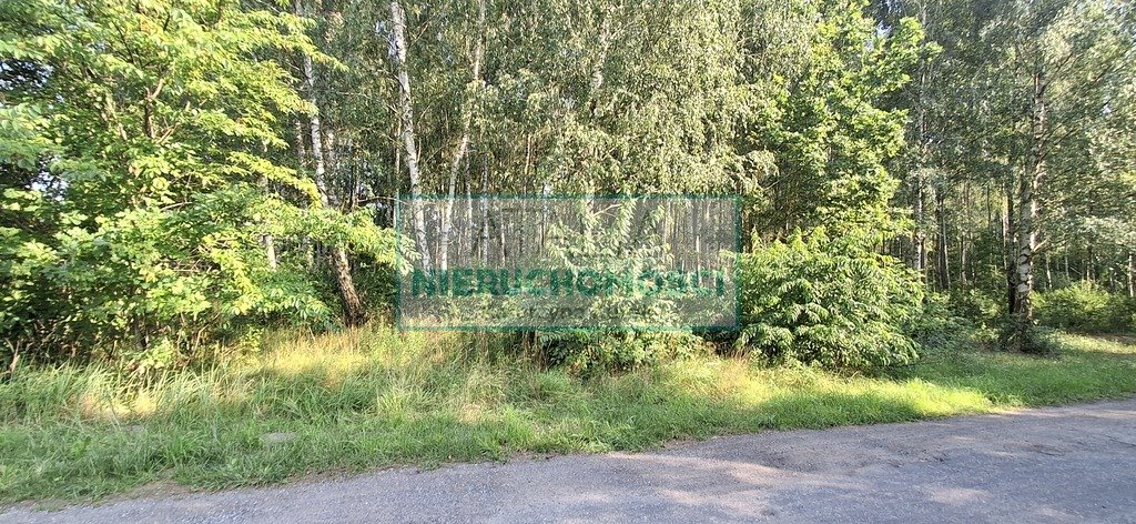 Zdjęcie 6