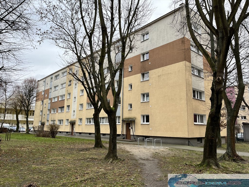 Mieszkanie dwupokojowe na wynajem Poznań, Grunwald, Ogink  38m2 Foto 19