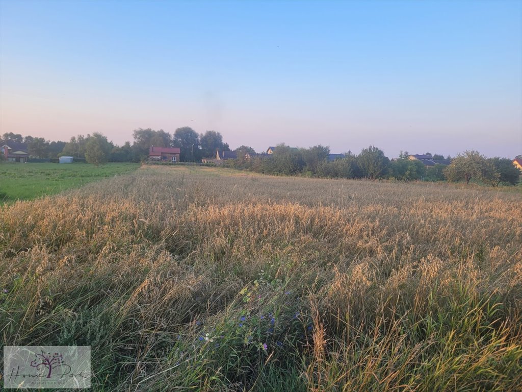 Działka inna na sprzedaż Bądków  2 997m2 Foto 2