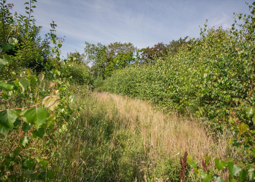 Działka budowlana na sprzedaż Kąpino  1 591m2 Foto 7